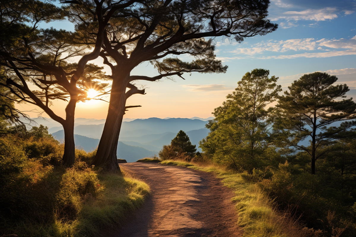 A beautiful AI-generated image of the sun rising over a walking trail and running path, deep the mountains of Tennessee.